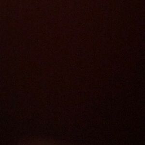 Meet your Posher, Cecilia